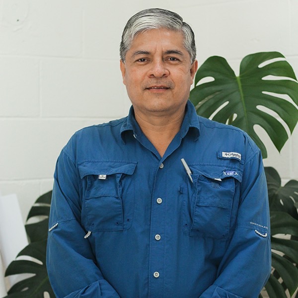 ING. JOSé ALBERTO ROSALES